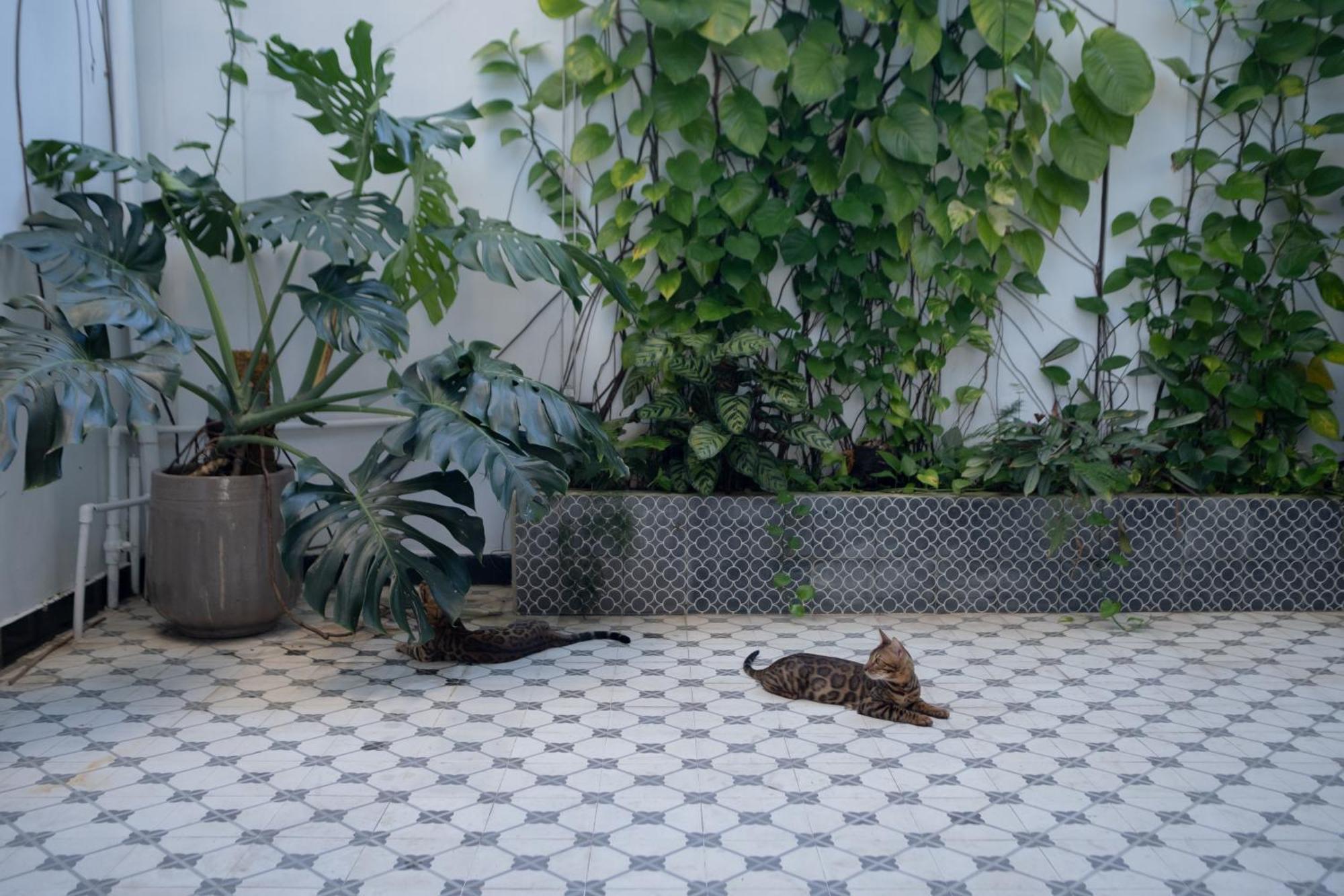 Homeday Retreats Tan Thanh Exterior foto